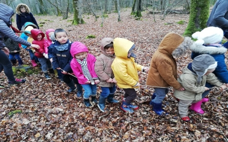 Sortiie pédagogique des maternelles dans la forêt de Coëtquen 